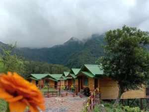 LaSerene the Cottage - Pangot